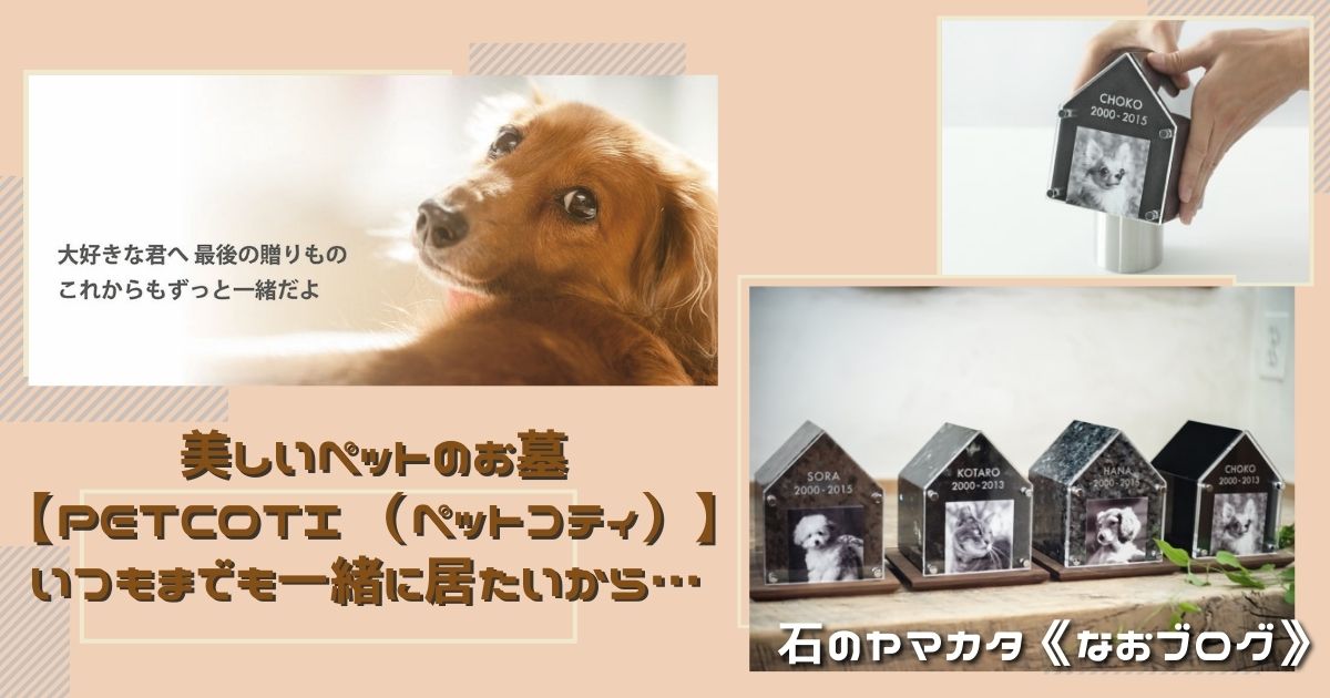 �ڥåȥ��ƥ�