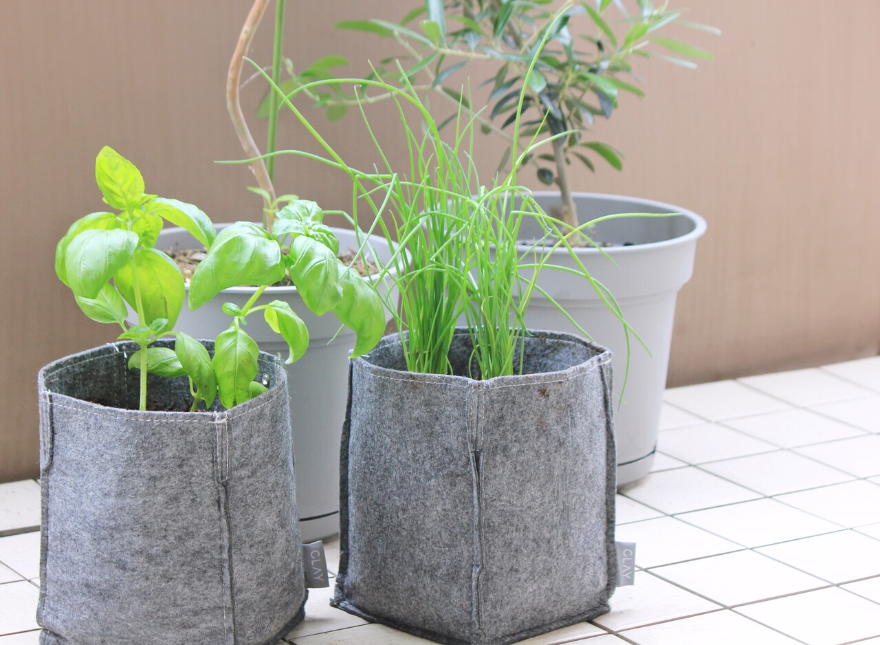 家庭菜園はじめました 不織布のプランター めちゃ便利 Life Co 家庭菜園はじめました 不織布のプランター めちゃ便利 Life Co