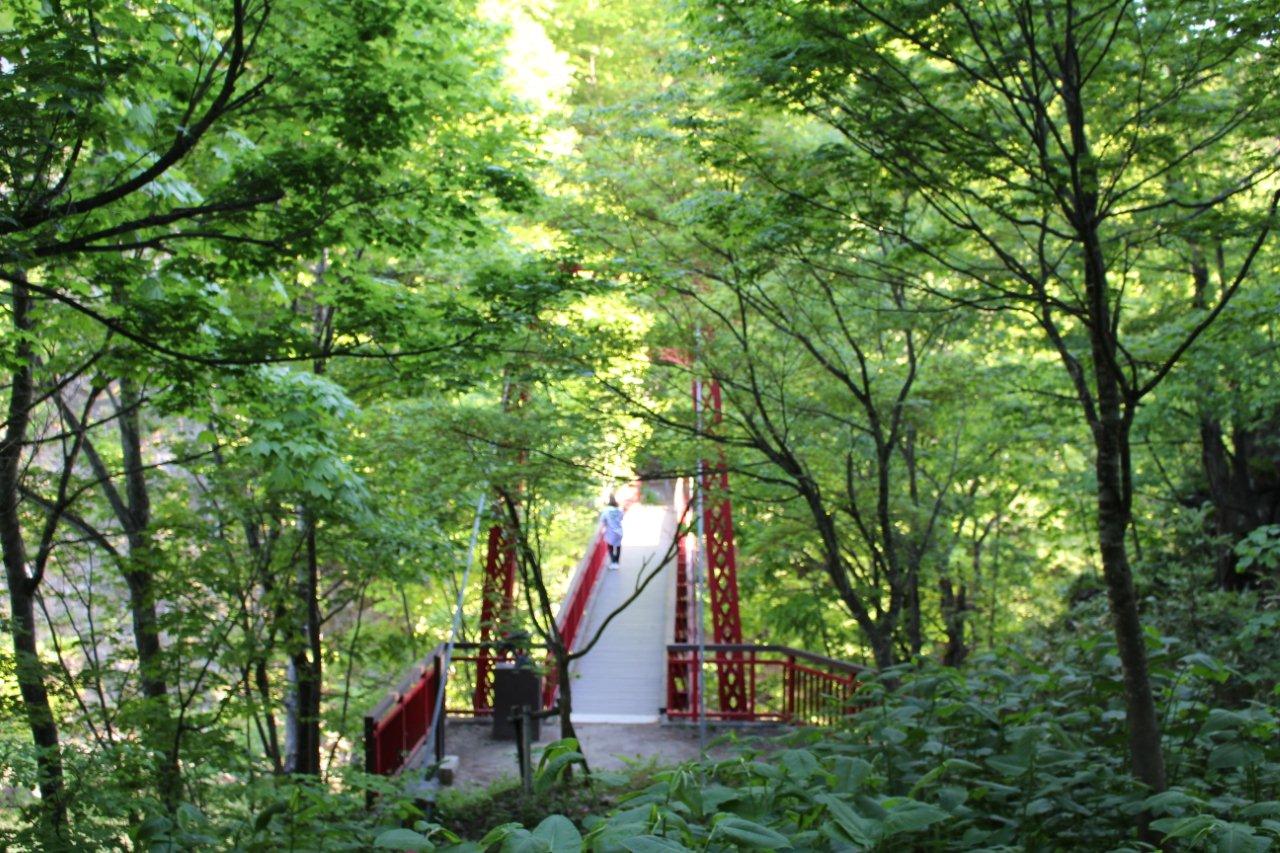 今朝の散策 二見定山の道 二見公園 二見吊橋 かっぱ淵 赤岩の澗 真駒内 彷徨私事記