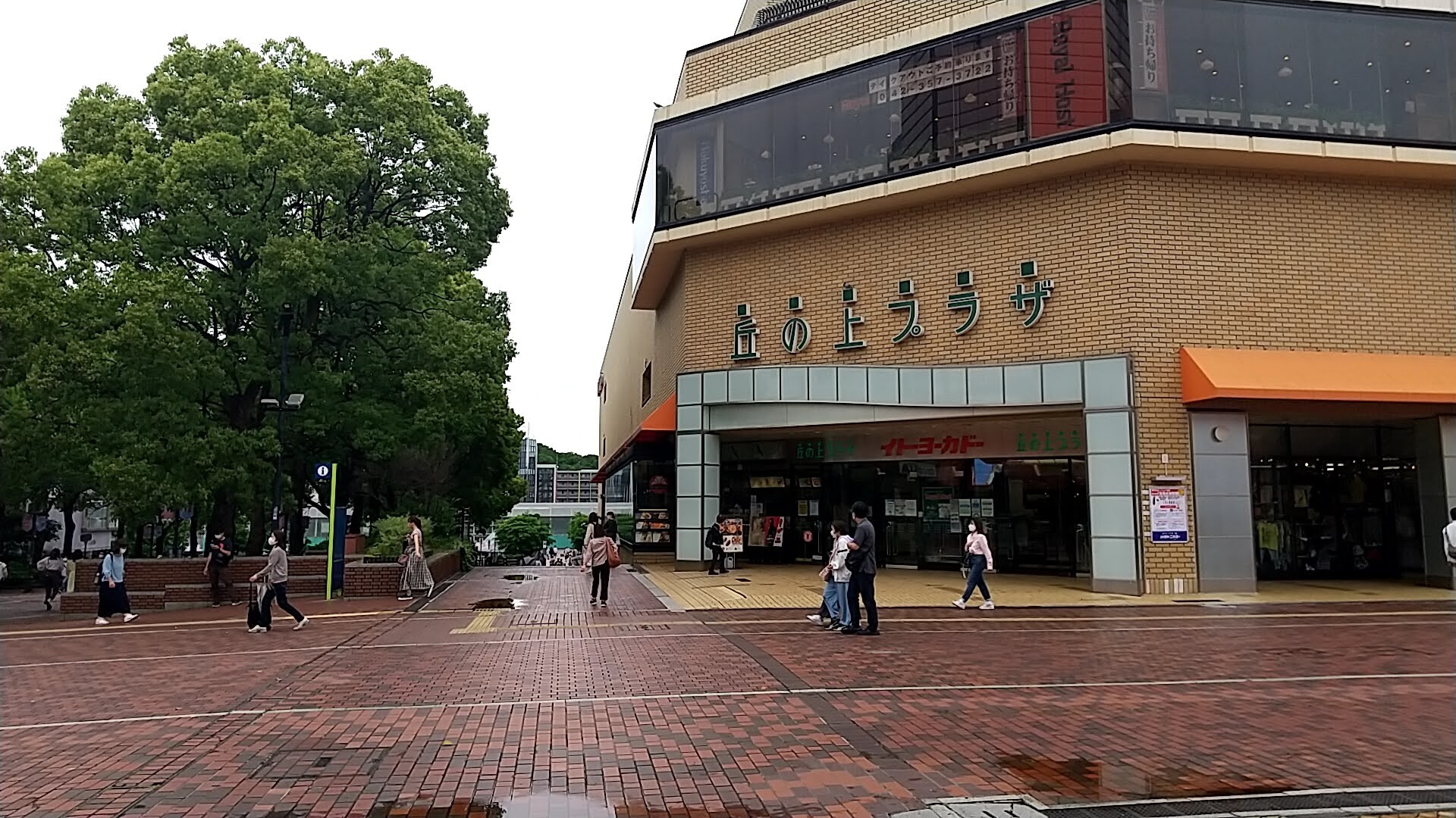今日のお茶 サンマルクカフェ r 多摩丘の上プラザ 小田急多摩センター 彷徨私事記 今日のお茶 サンマルクカフェ r 多摩丘の上プラザ 小田急多摩センター 彷徨私事記