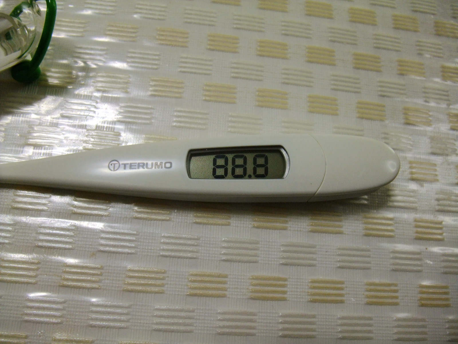 今日の電池交換 電子体温計 彷徨私事記