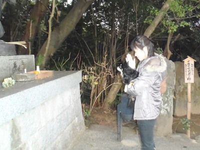 新年のご挨拶中