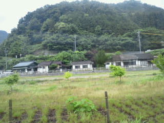 e10e1324.jpg