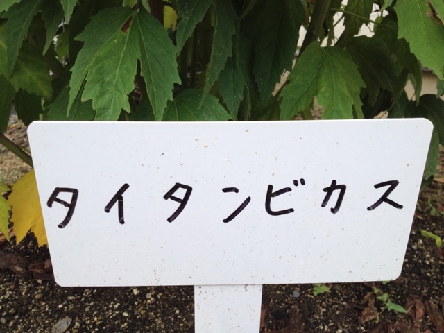 2014-08-06-15-41-45
