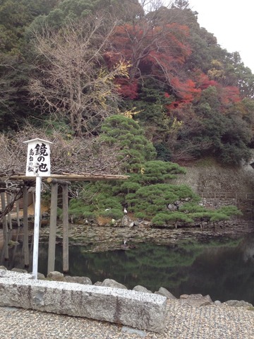 画像8