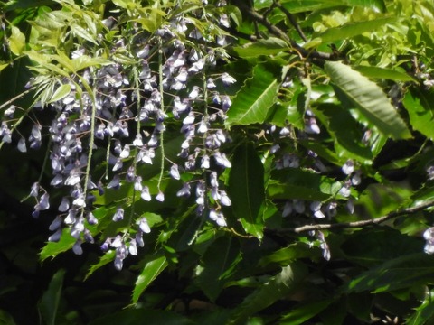 DSCN1607