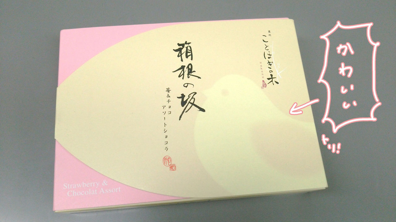 箱根湯本でお土産を買うなら ことほぎの木のチョコが贅沢 スーさんの アタマ の中 箱根湯本でお土産を買うなら ことほぎの木のチョコが贅沢 スーさんの アタマ の中