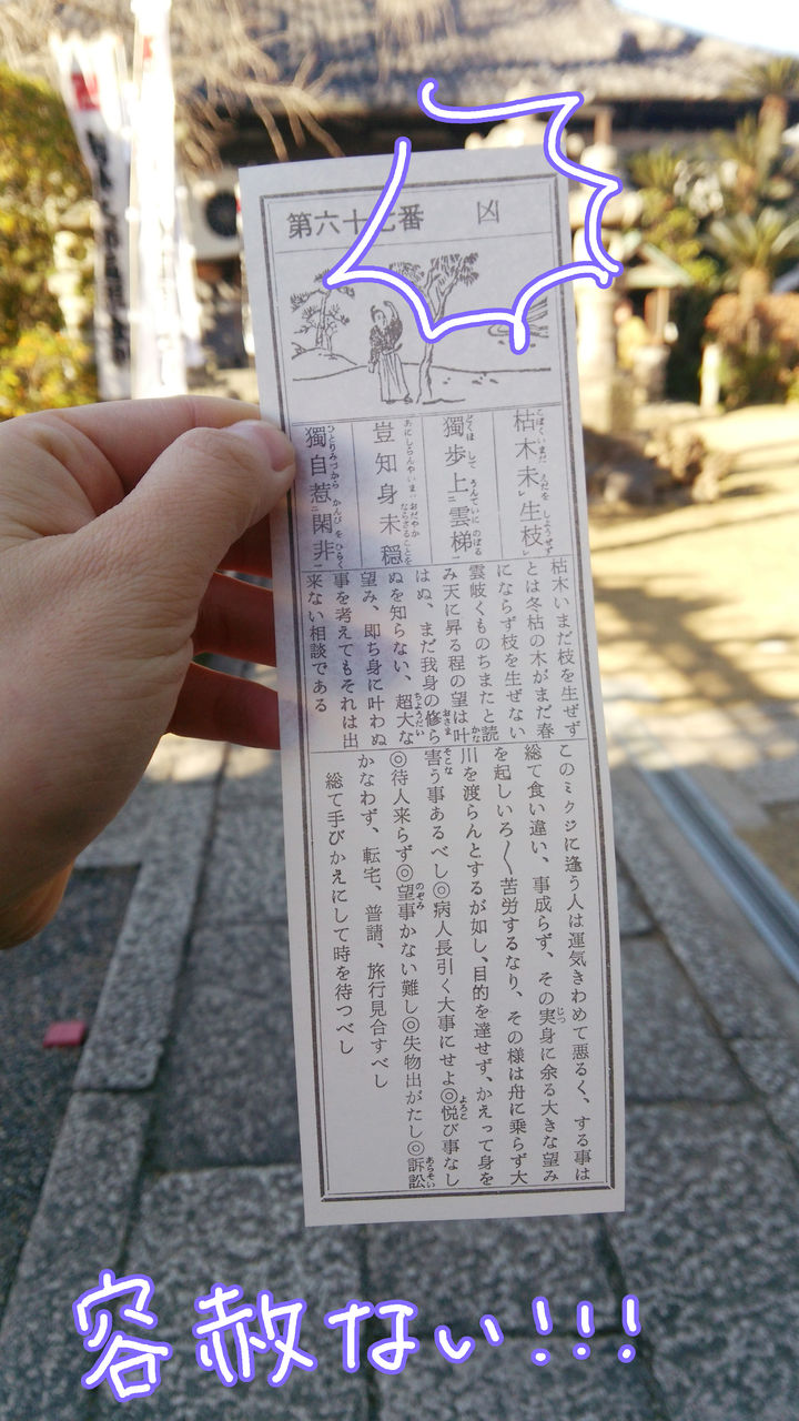 初詣のおみくじで凶が出た 引き直す 結ぶ スーさんの アタマ の中 初詣のおみくじで凶が出た 引き直す 結ぶ スーさんの アタマ の中