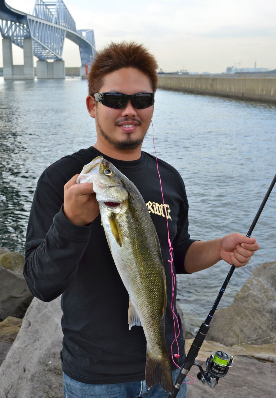 上若洲 海浜 公園 シーバス 魚のすべて 上若洲 海浜 公園 シーバス 魚のすべて
