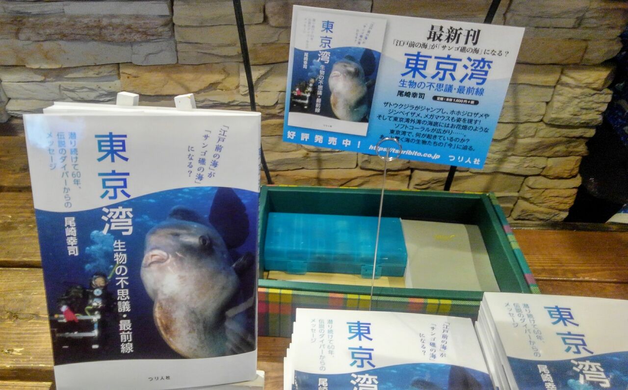 東京湾を水中から見つめる人たち スーさんノート 東京湾を水中から見つめる人たち スーさんノート