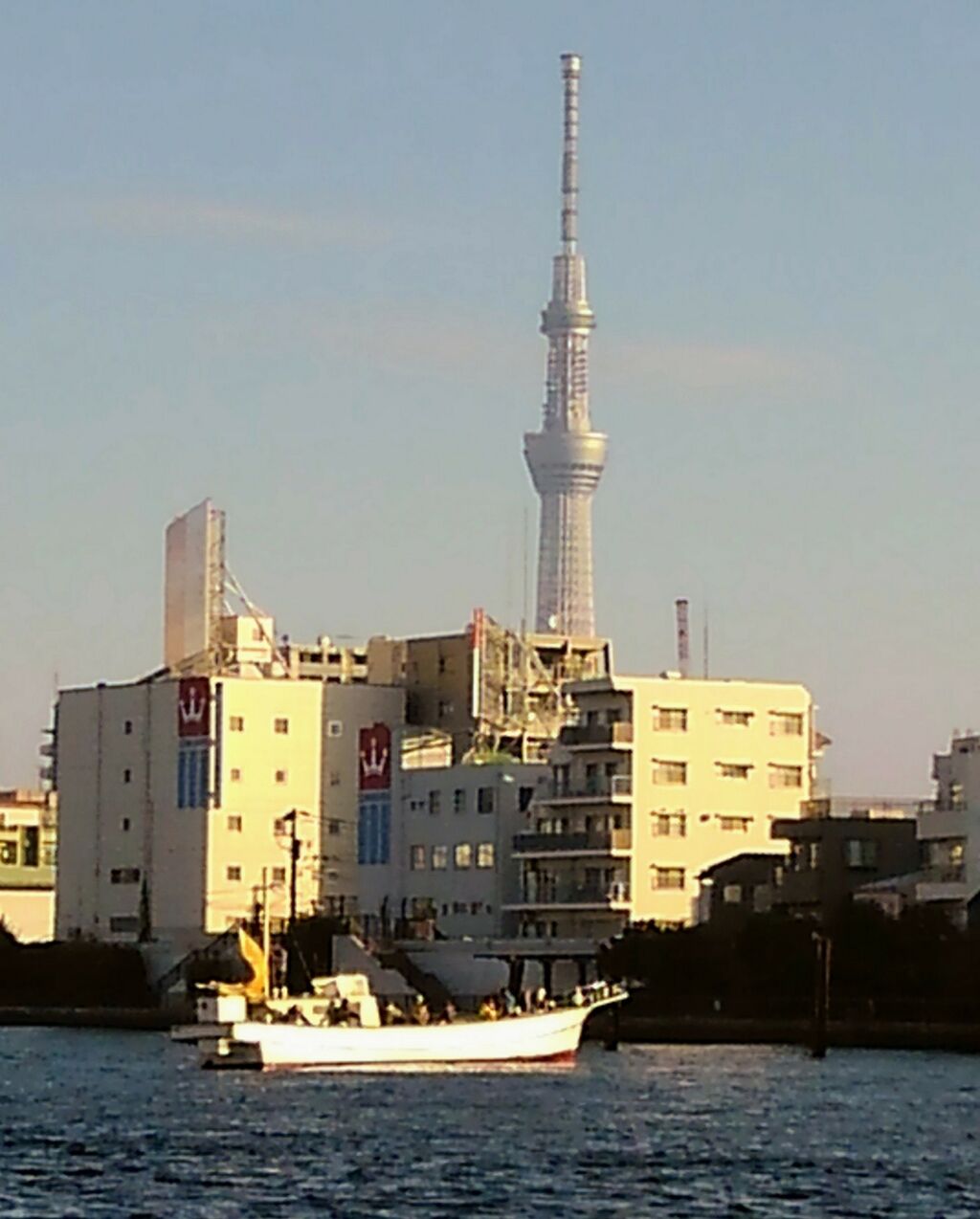 隅田川でハゼ釣り スーさんノート