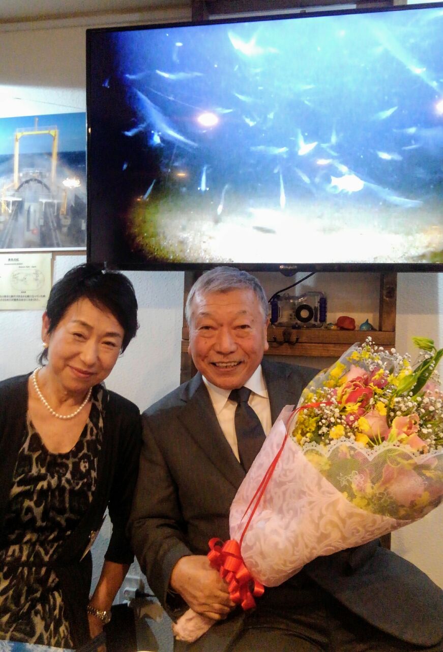 東京湾を水中から見つめる人たち スーさんノート 東京湾を水中から見つめる人たち スーさんノート