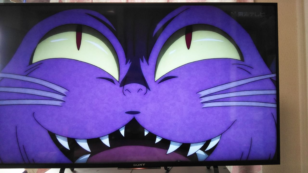 こうもり猫 ゲゲゲの鬼太郎 第6期 星楽情報ブログ