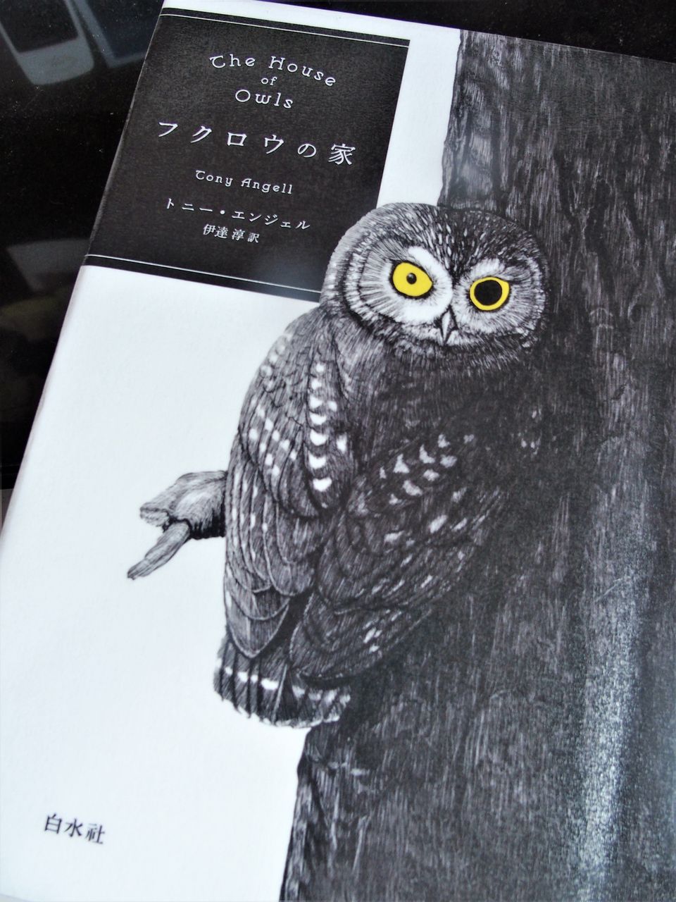 梟と猫 Subaru19のblog