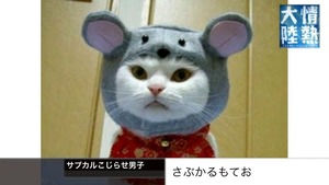 画像 3309