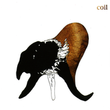 blackantlers