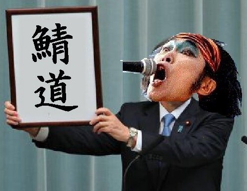 鯖元号2