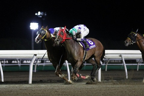 2018エトワール賞優勝・カツゲキライデン