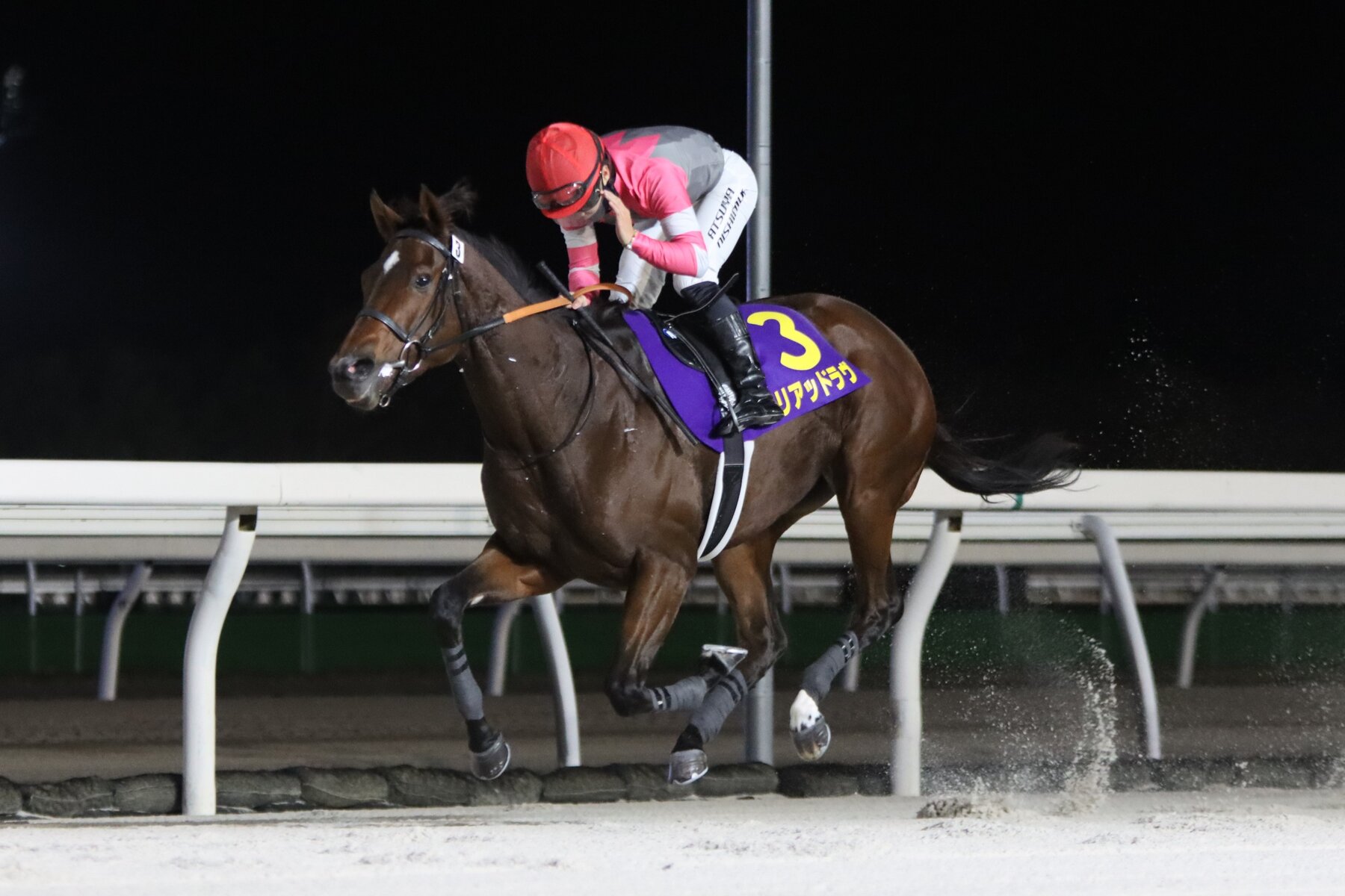 当たる！？レース予想】～2025.10.30(木) 15回門別3日目