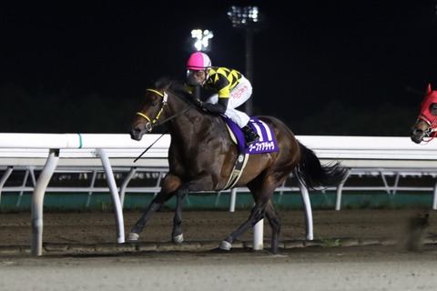 2022ヒダカソウカップ優勝馬・クーファアチャラ