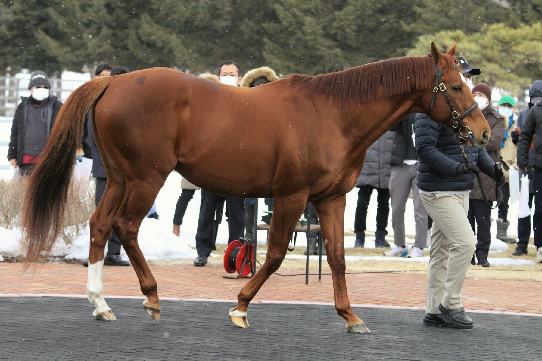 がんばれ ホッカイドウ競馬 Blog