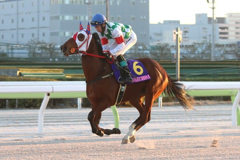 ヴィルミーキスミー