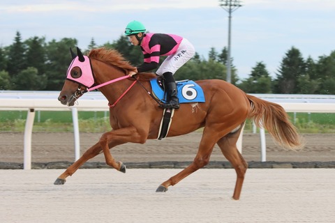 キングリーエアー