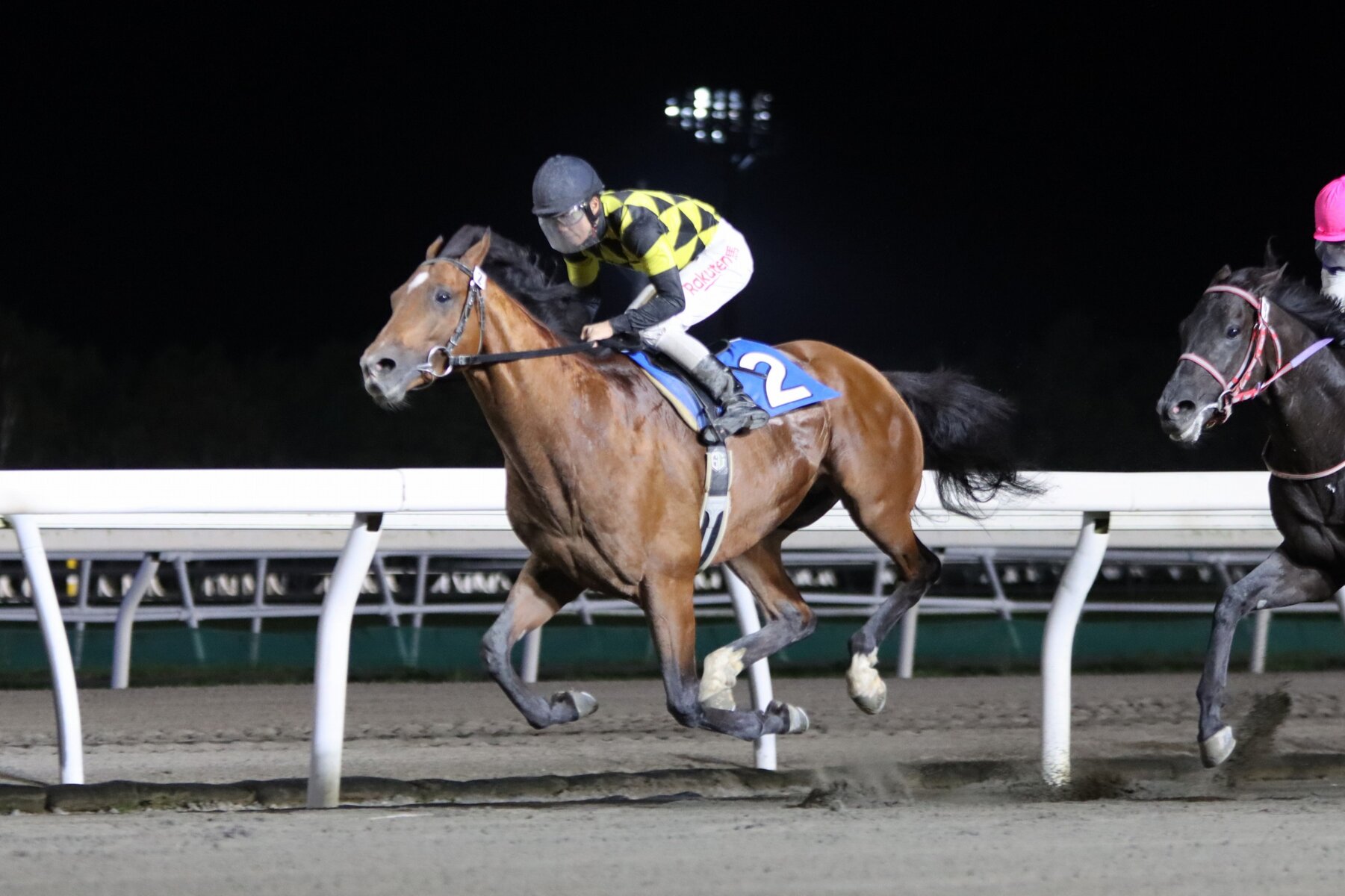 8 25メインレースレポート コンピエーニュ 牡4 柳澤好美厩舎 が今季4勝目 アニマルキングダム賞 がんばれ ホッカイドウ競馬 Blog