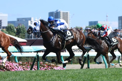 シュネルカガ02