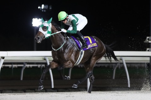 2025サンライズカップ優勝馬・エンドレスソロウ