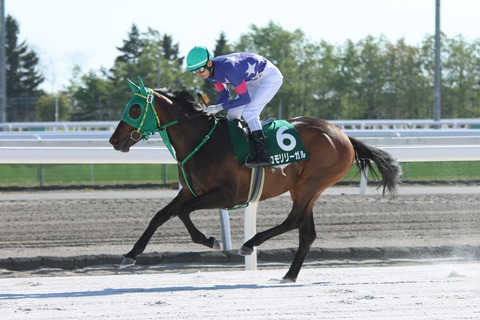 コモリリーガル