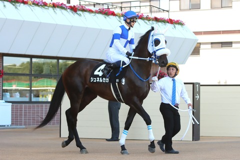 シュネルカガ01