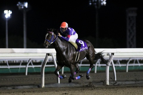 2019道営スプリント優勝馬・アップトゥユー