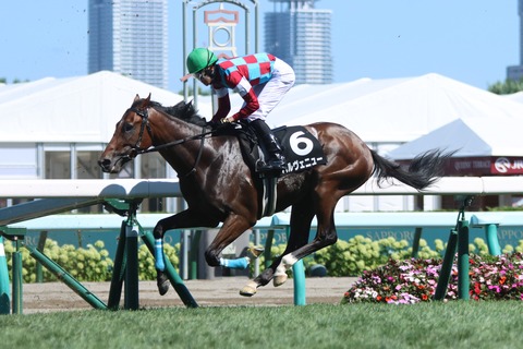 パルヴェニュー02