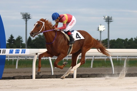 コンフォートデイズ