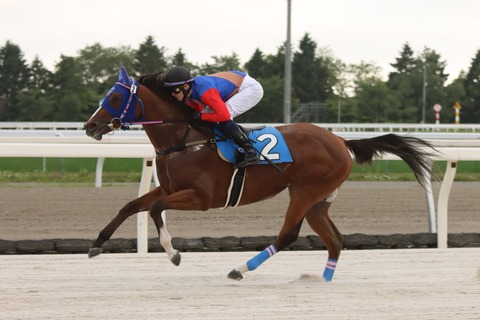 クリムゾンジュエル