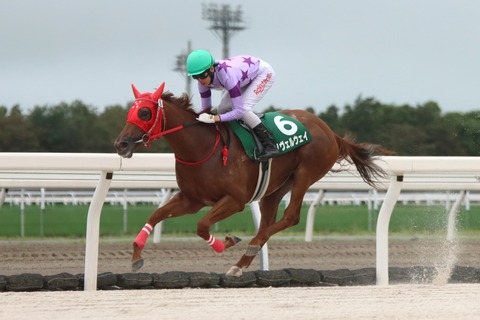 ノヴェルウェイ