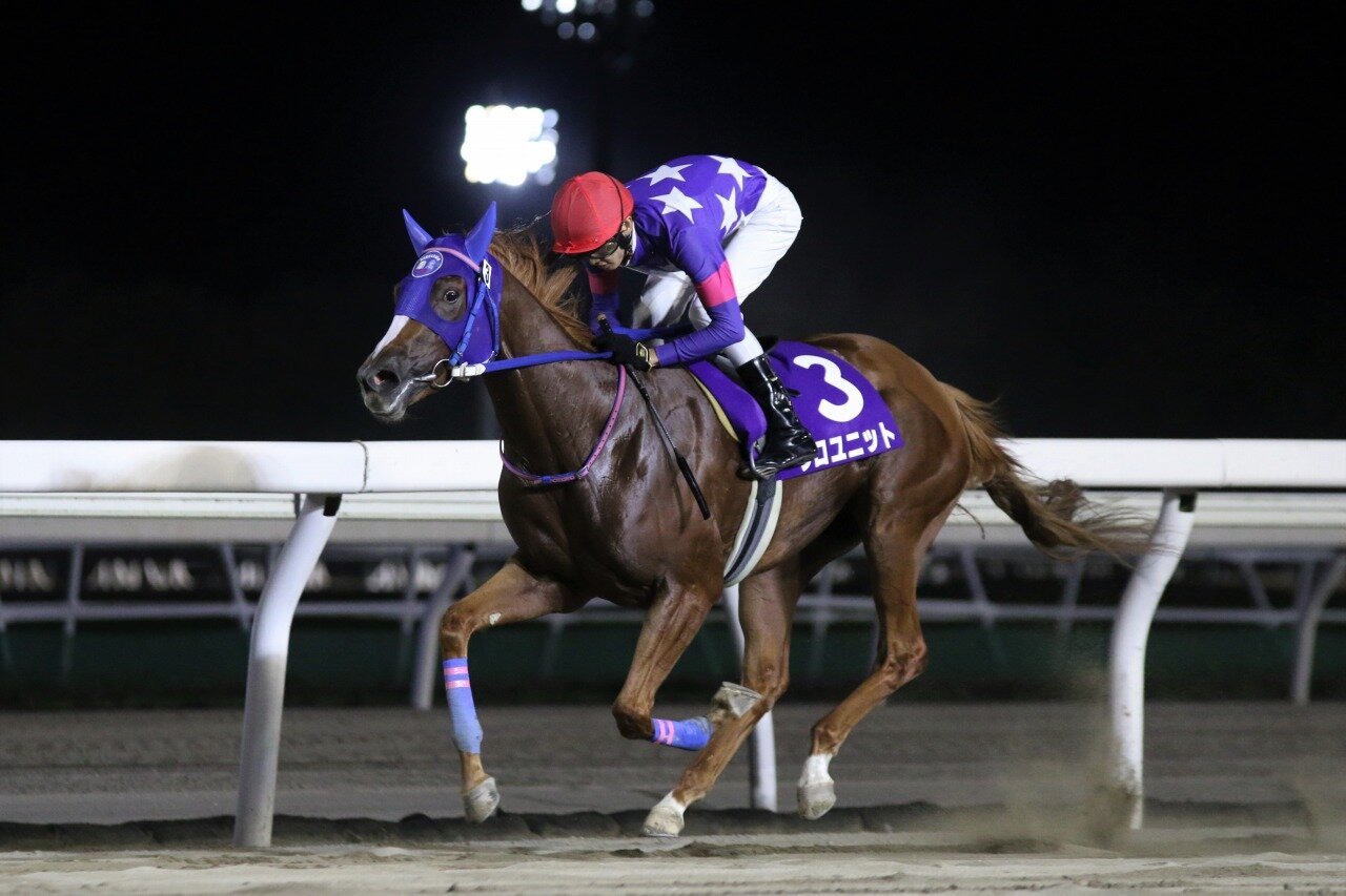 当たる レース予想 21 09 02 木 11回門別3日目 メインは重賞 第18回リリーカップ H3 がんばれ ホッカイドウ競馬 Blog