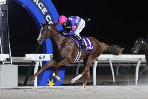 2024サッポロクラシックカップ優勝馬・イイデマイヒメ