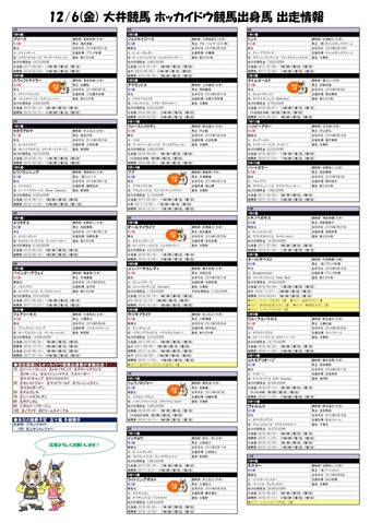 1206ooi
