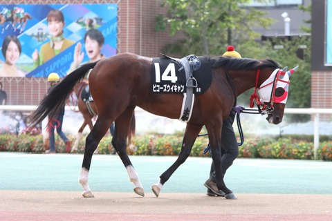 ビコーズウイキャン