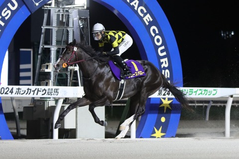 2024サンライズカップ優勝馬・リコースパロー