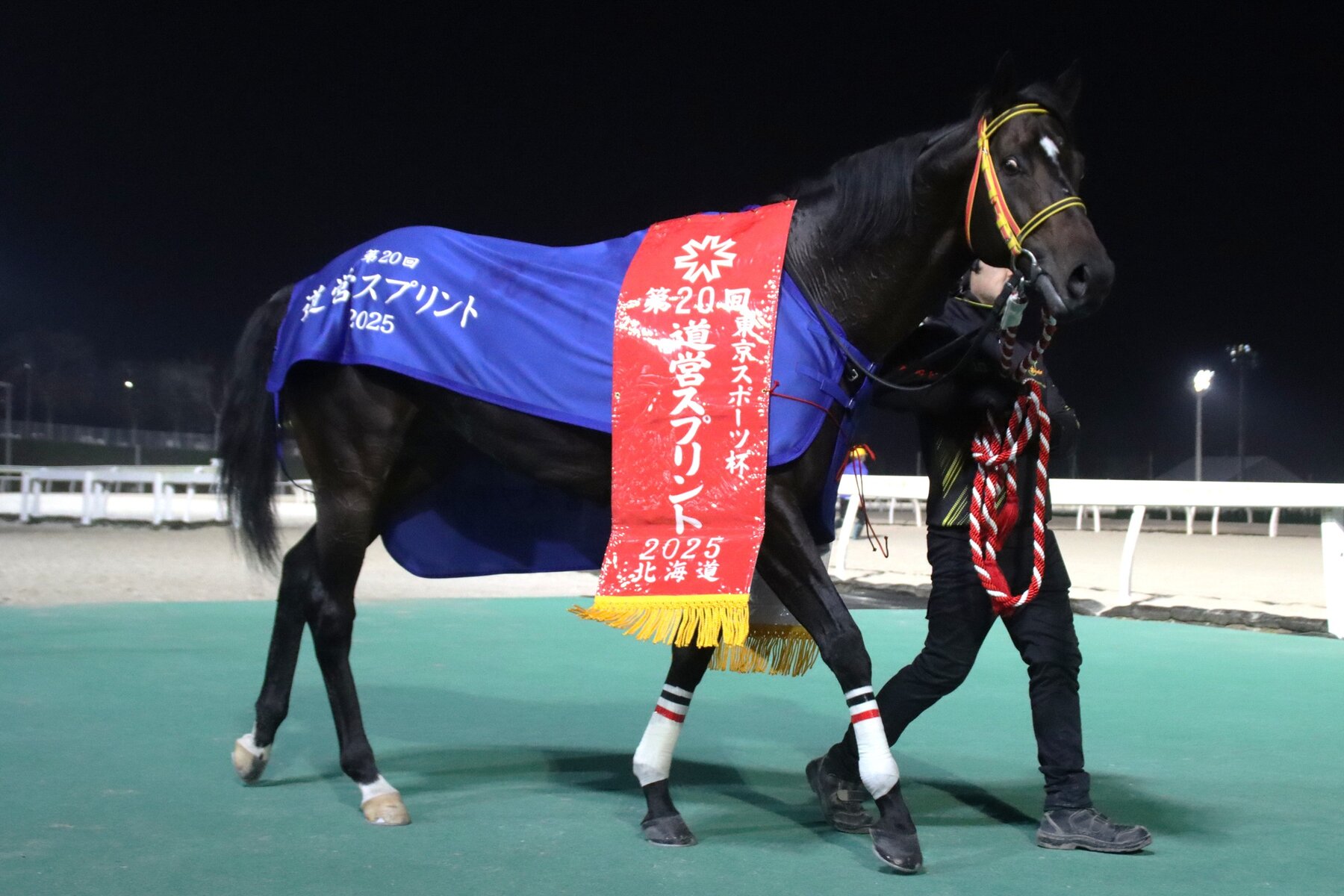 11/5メインレースレポート】⑨スペシャルエックス（牡5＝田中淳司厩舎