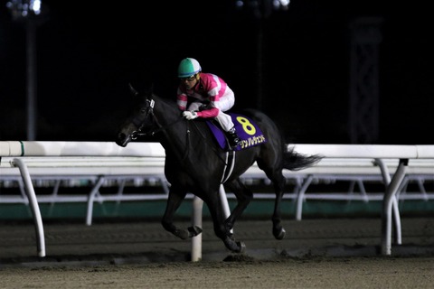 2019道営記念優勝馬・リンノレジェンド