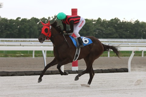 エイシンマジョリカ