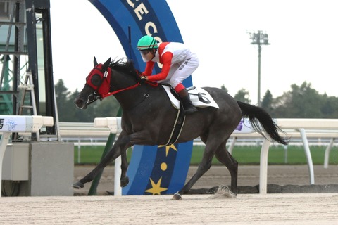 エムピーフリップ