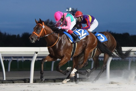 ドライブミーホーム