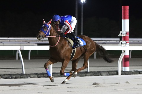 スティールブライト