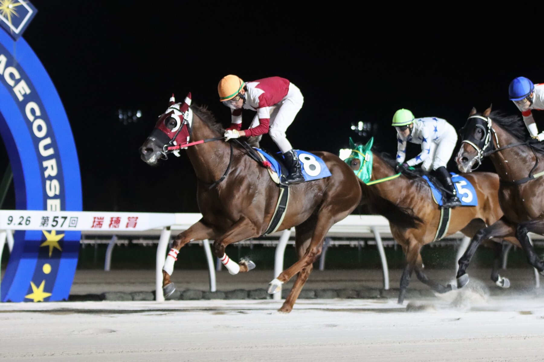 に*ー様 プンゲンストウヒ ホプシー8号 楽天市場】【現品発送】ピセア・プンゲンストウヒ スーパーブルー 苗木