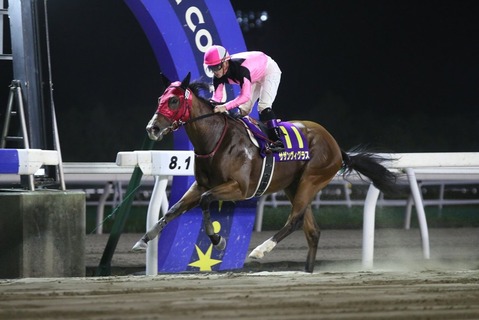 2017ブリーダーズGJC優勝馬・サザンヴィグラス